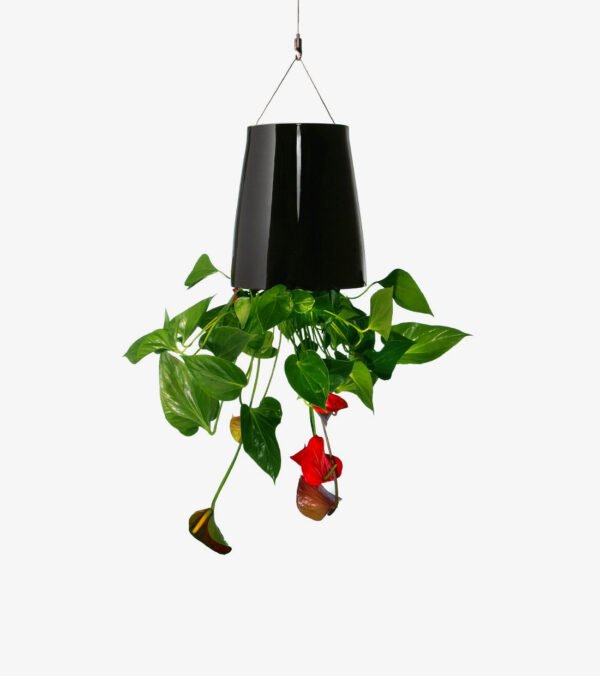 Medium Ceramic Sky Planter